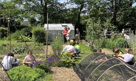 Bericht uit de moestuin van Eemnes