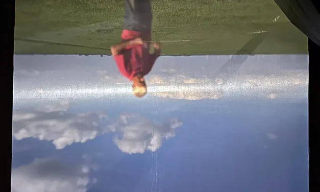Polderportret, het Eemland gezien met een Camera Obscura