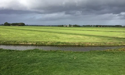 Gerard Wortel en zijn kijk op lokaal getob!