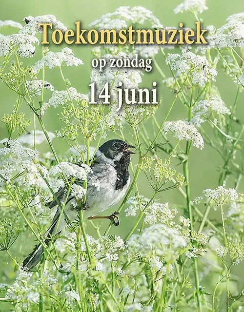 Themadienst Toekomstmuziek