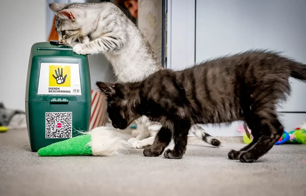 Maak het verschil voor dieren, word collectant in Eemnes