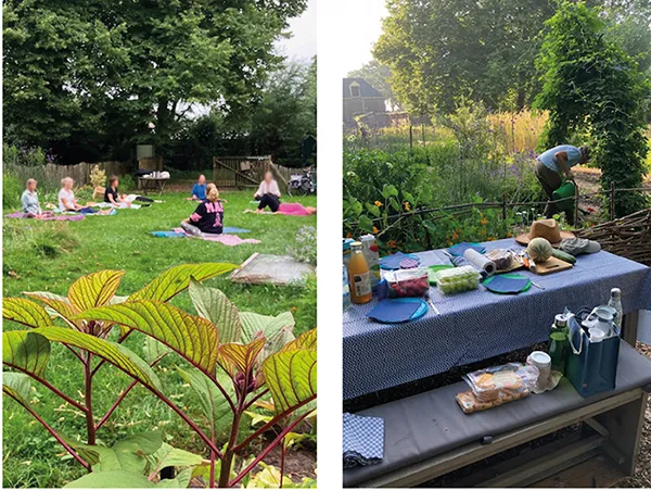 Zomers bericht uit de moestuin